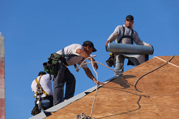 Best Metal Roofing Contractor  in Severna Park, MD